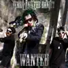 Zebra and the Bandit - Wanted